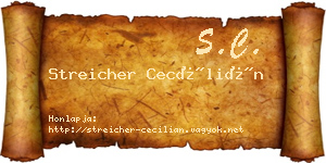 Streicher Cecílián névjegykártya